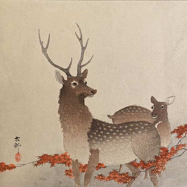 Two deer by Ohara Koson, Image 14.