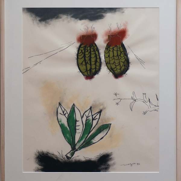 Zona by Magali Lara, Image 7.