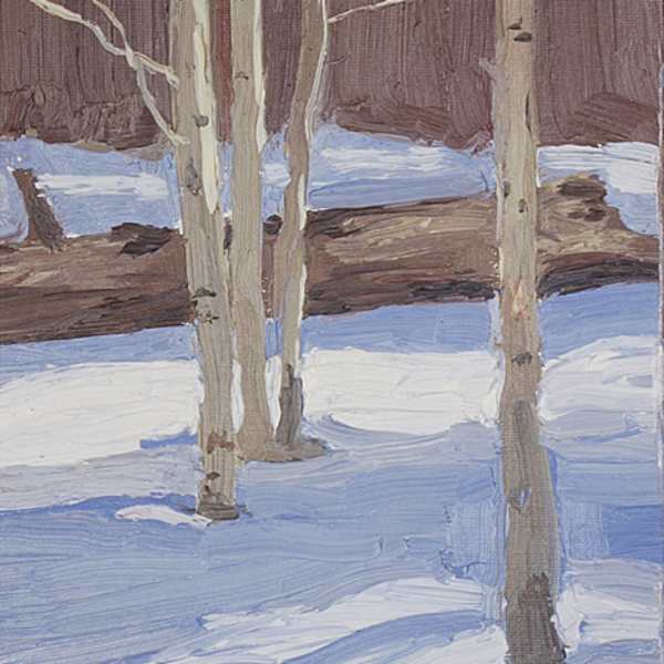 Snow Scene by Heidi Groonwald, Image 1.