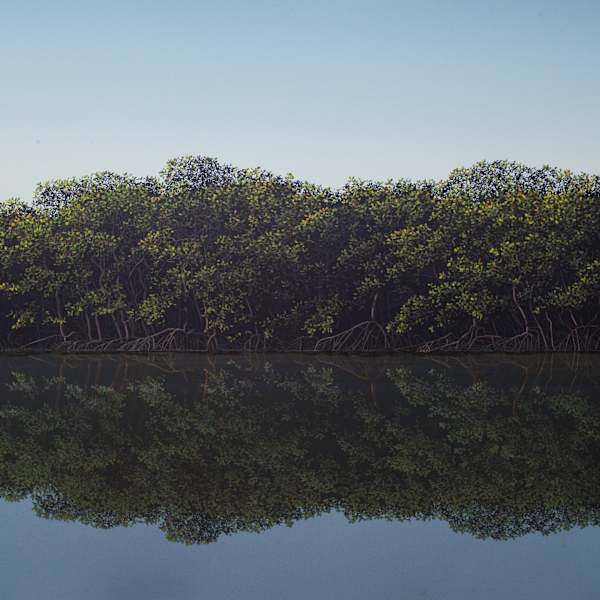 Orilla by Tomas Sanchez, Image 2.