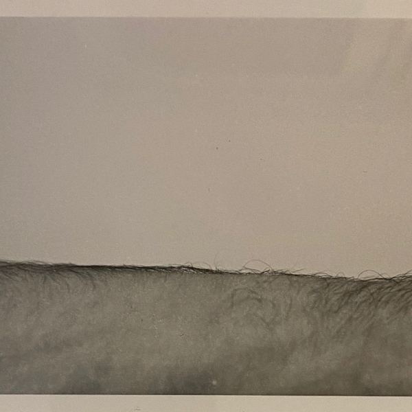 Study after "Untitled Landscape" by Jeanne Dunning, Image 3.