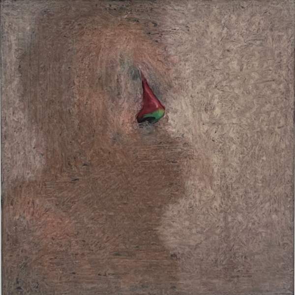 Photo-Transformation 12/19/73 by Lucas Samaras, Image 3.