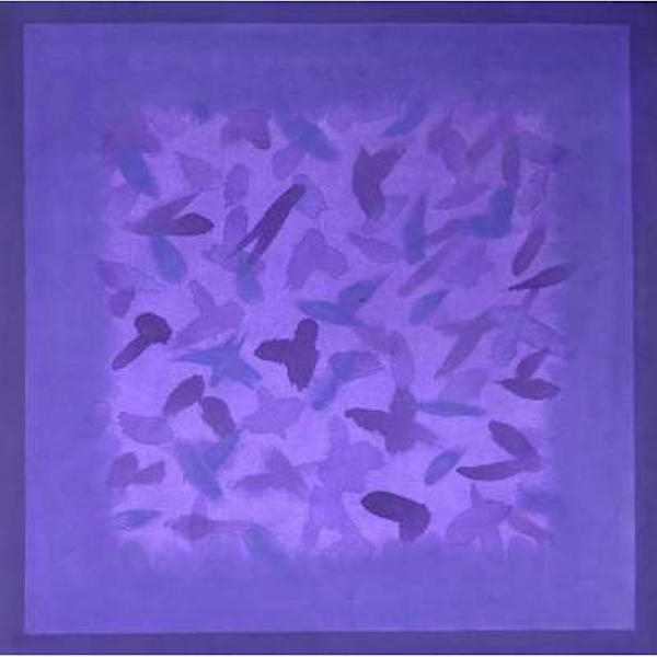 Sem Titulo, 2009 by Amelia Toledo, Image 1.