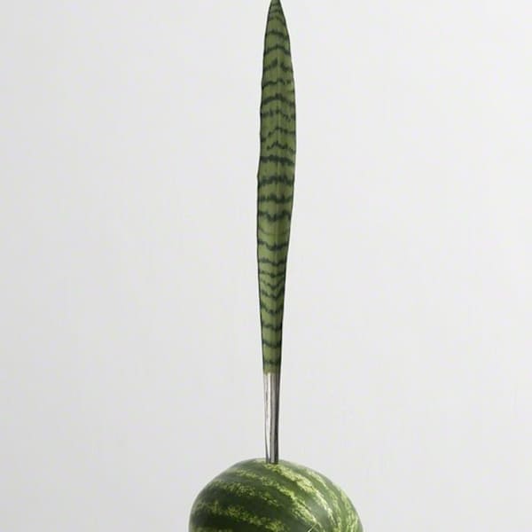 Maiastra Ogum #7 2012 by Reginaldo Pereira, Image 1.