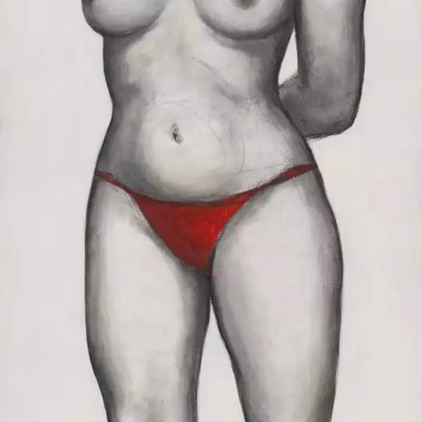 Bitch, 2007 by Cristina Vergano, Image 1.