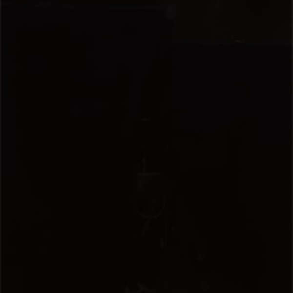 Coca-Cola (210.CC), 2008 by Emilio Chapela, Image 1.
