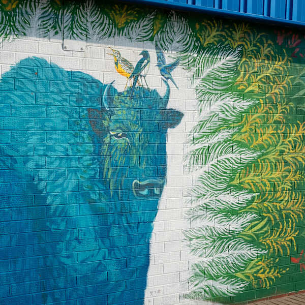 50 in 50 Murals (Cheyenne, WY) by Marcus, Desirée Brothe, Image 2.