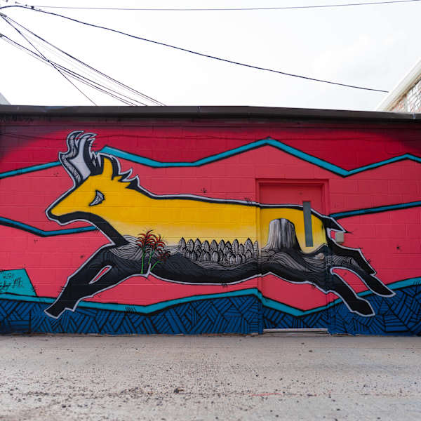 Antelope by Steve Knox and Josh Brady, Image 1.