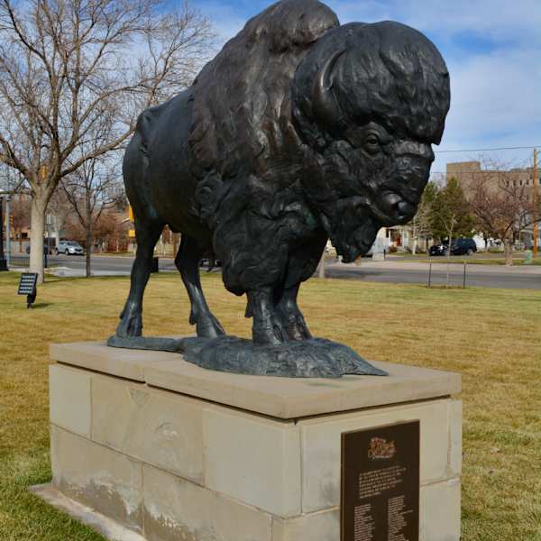 Bison by Dan Ostermiller, Image 1.