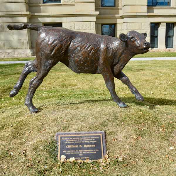 Calf by Jerry Palen, Image 4.