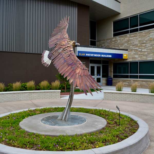 Golden Eagle by Jim Dolan, Image 1.
