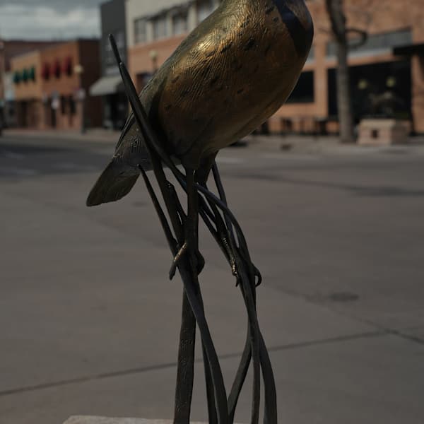 Meadow Maestro by Cliff Hollestelle, Image 3.