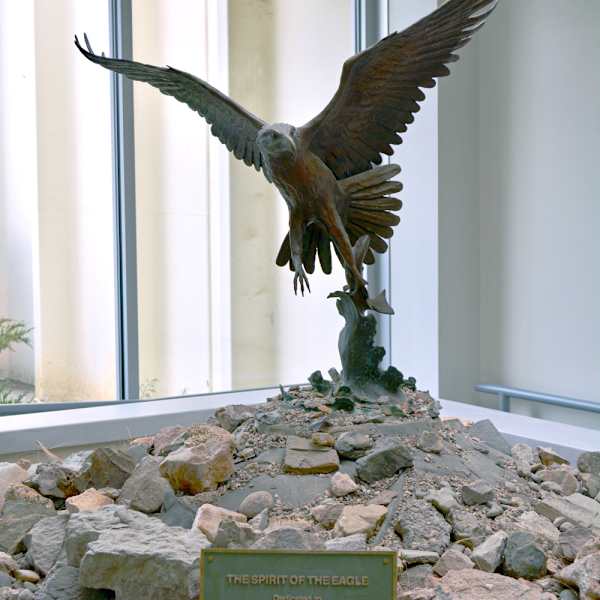The Spirit of the Eagle by Jim Taylor, Image 1.