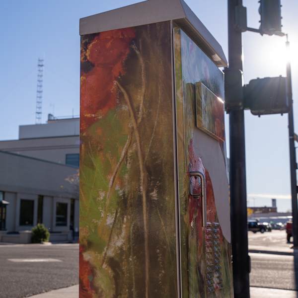 Untitled Utility Box by Vanda Edington, Image 1.