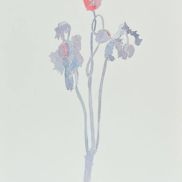 Poppy by Jeffry Mitchell, Image 1.