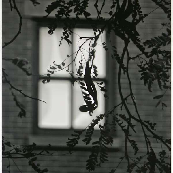 Inside Brooklyn "Evening" by Kathleen Nathan, Image 1.