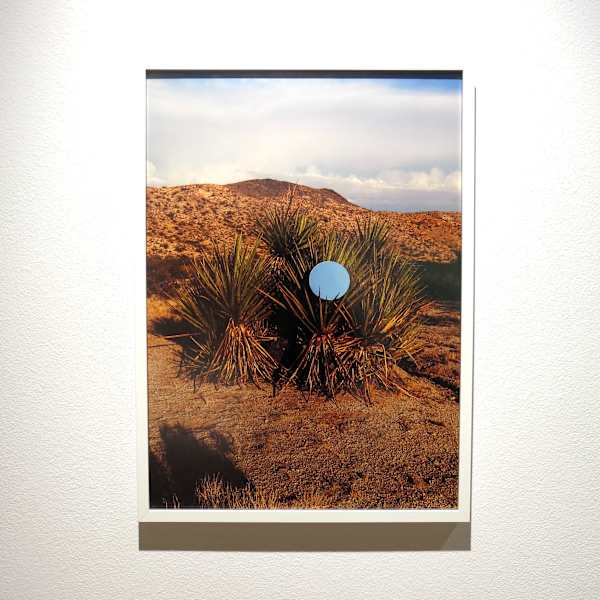 Its Teeth Are Soft by Mikayla Whitmore, Image 1.