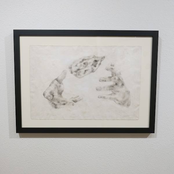 Interés de acción (raíz) by Lance L. Smith, Image 1.