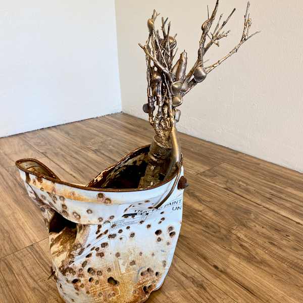 Tamarisk and Clam Auto-Fossilization Memorial by Emily Budd, Image 1.