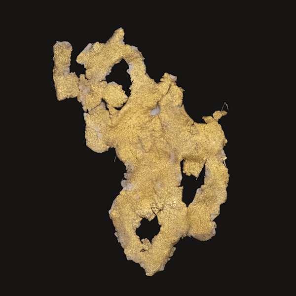 Fools Gold #1 by Lee Cannarozzo, Image 1.