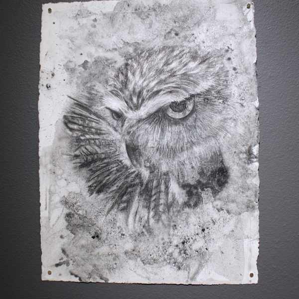 Witness by Natalie Delgado, Image 1.