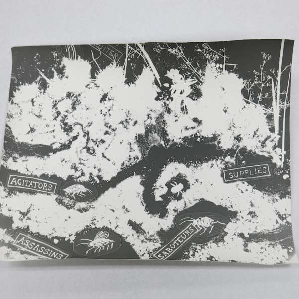 Untitled by Candice Lin, Marcus Civin, Image 1.
