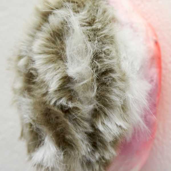 BEAUTIFUL NOTHING #19 by Audrey Barcio, Image 2.