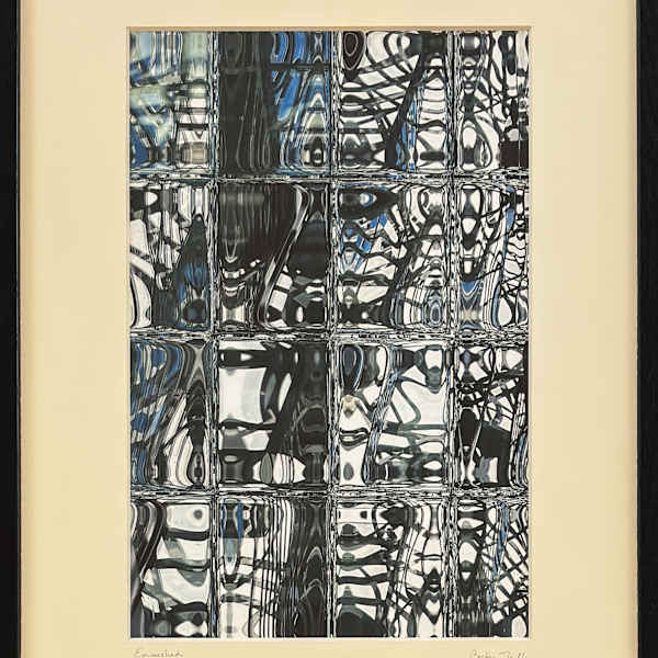 Enmeshed by Becky Jaffee, Image 1.