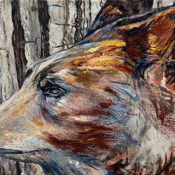 Seek/Buscar, Investigate/Investigar, Ask/Preguntar by Catalina Gonzalez, Image 1.