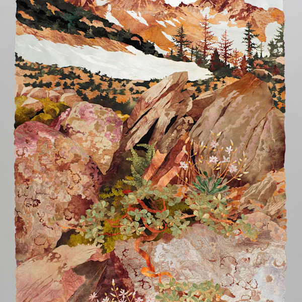 “Rock Crevice, Cascade Mountains” by Amanda Richardson, Image 1.