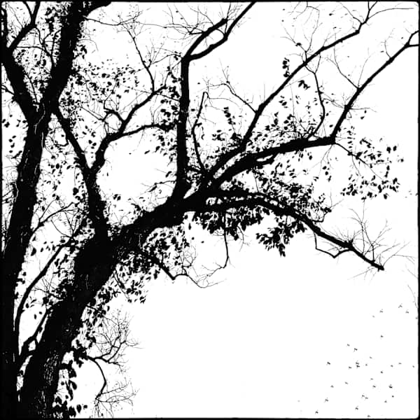 Birds by Skip Smith, Image 1.