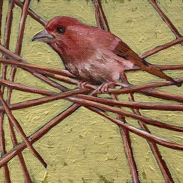 Criss Cross by Evelyn Woods, Image 1.