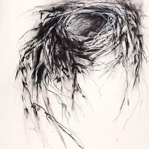 Avian Architecture by Kris Ekstrand, Image 3.