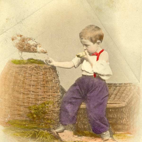Boy Feeding Chicken by Wilhelm Fechner, Image 1.
