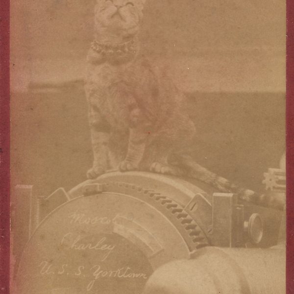 Mascot Charley by T. Urakawa, Image 2.