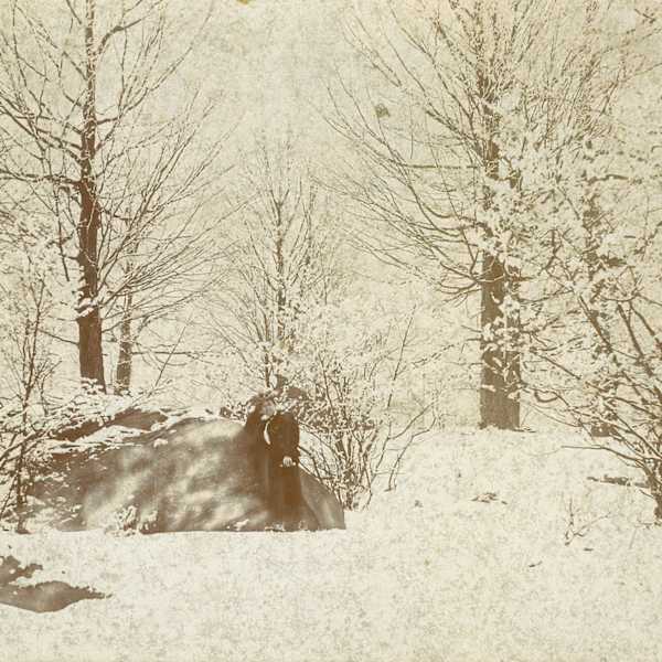 View of Patterson, New York in Winter by Maude F. Chase Heyde Fitzgibbons, Image 1.