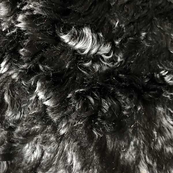 Carriage Blanket by Leak Fur Manufacturing Co., Image 1.