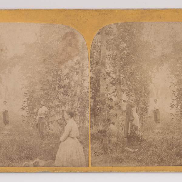Stereoview by A.S. Avery, Image 2.