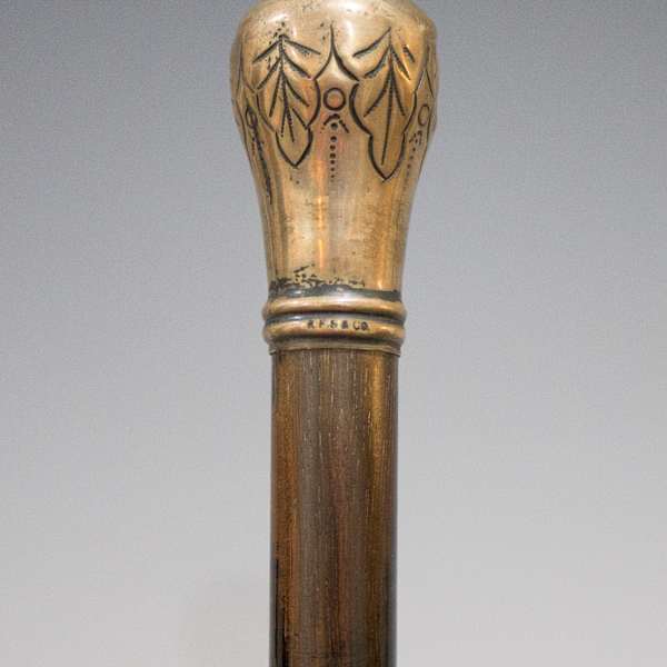 Cane by Robert Fitz Simmons & Co., Image 2.