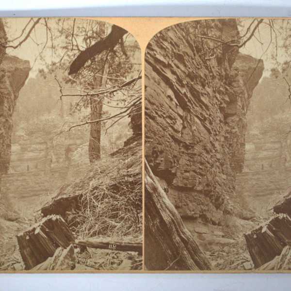 Stereoview by Byron H. Gurnsey, Image 1.