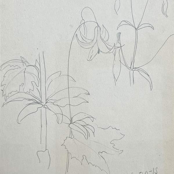 Pencil Sketch by Charles Ephraim Burchfield, Image 1.