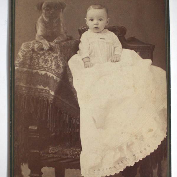 Cabinet Card by J.L. Koonz & Son, Image 1.