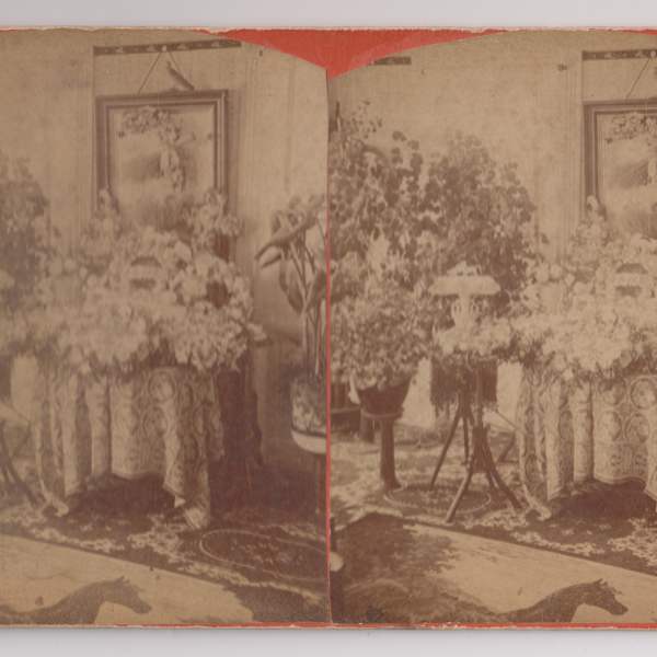 Stereoview by Frank Lawrence, Image 2.