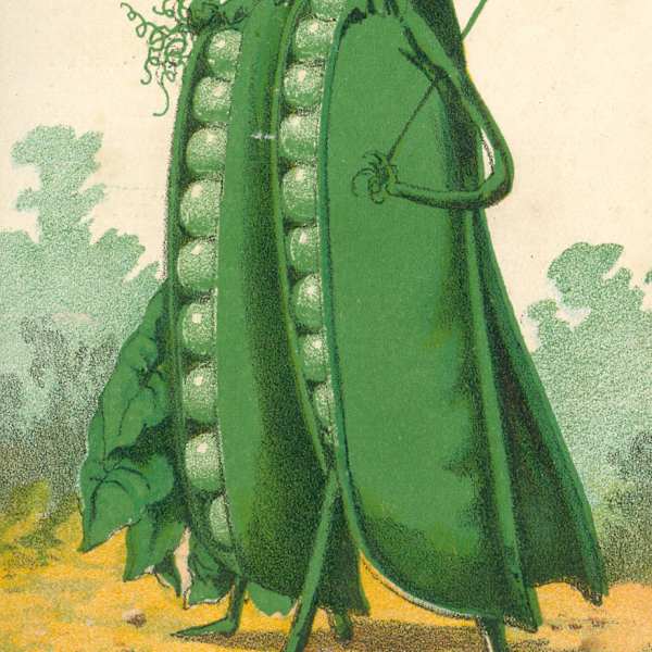 Trade Cards (Set of Nine) by Clay & Richmond, Image 9.