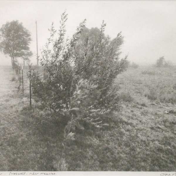 Dust Storm, Roswell NM by Dore Gardner (RAiR 1996), Image 1.