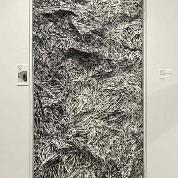 Untitled by Hajime Mizutani (RAiR 2006), Image 2.