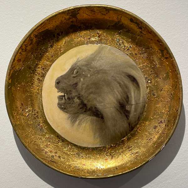 Untitled by Deborah Brackenbury (RAiR 1996-97), Image 2.