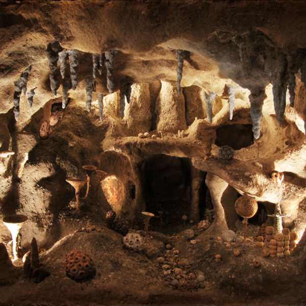 Organic Remains of a Former World by Alison Carey (RAiR 2005-06), Image 1.