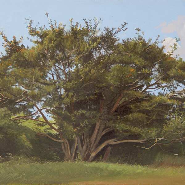 Crabapple by Jillian Denby (RAiR 1973-74), Image 1.