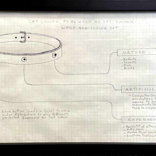 Cat Collar To Be Worn by Cat Owner When Monitoring Cat by Flo McGarrell F. (RAiR 2007-08), Image 1.